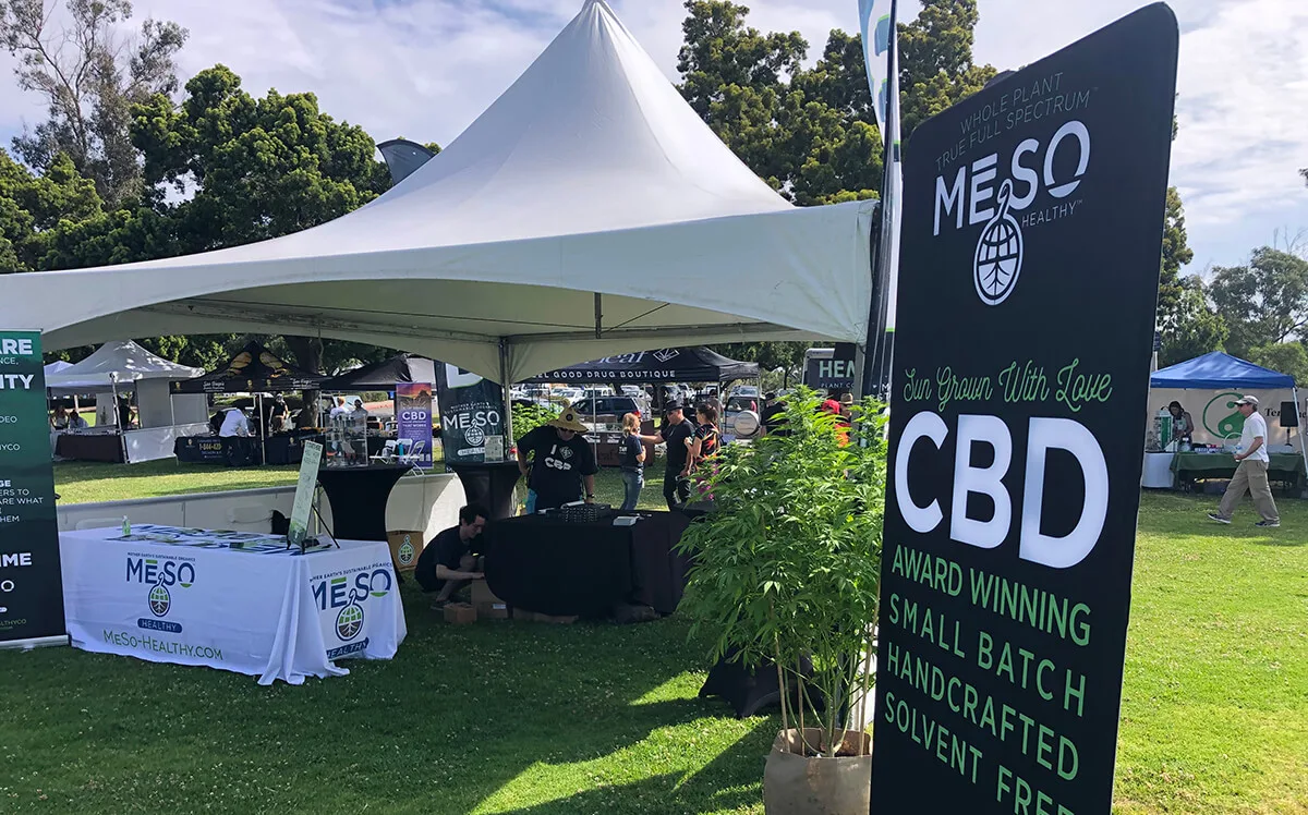 Client Spotlight: MESO Healthy