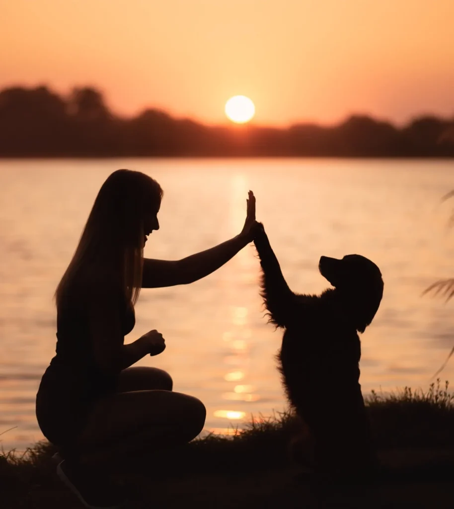 K9 Konnection 5 K9 Konnection High Five 1